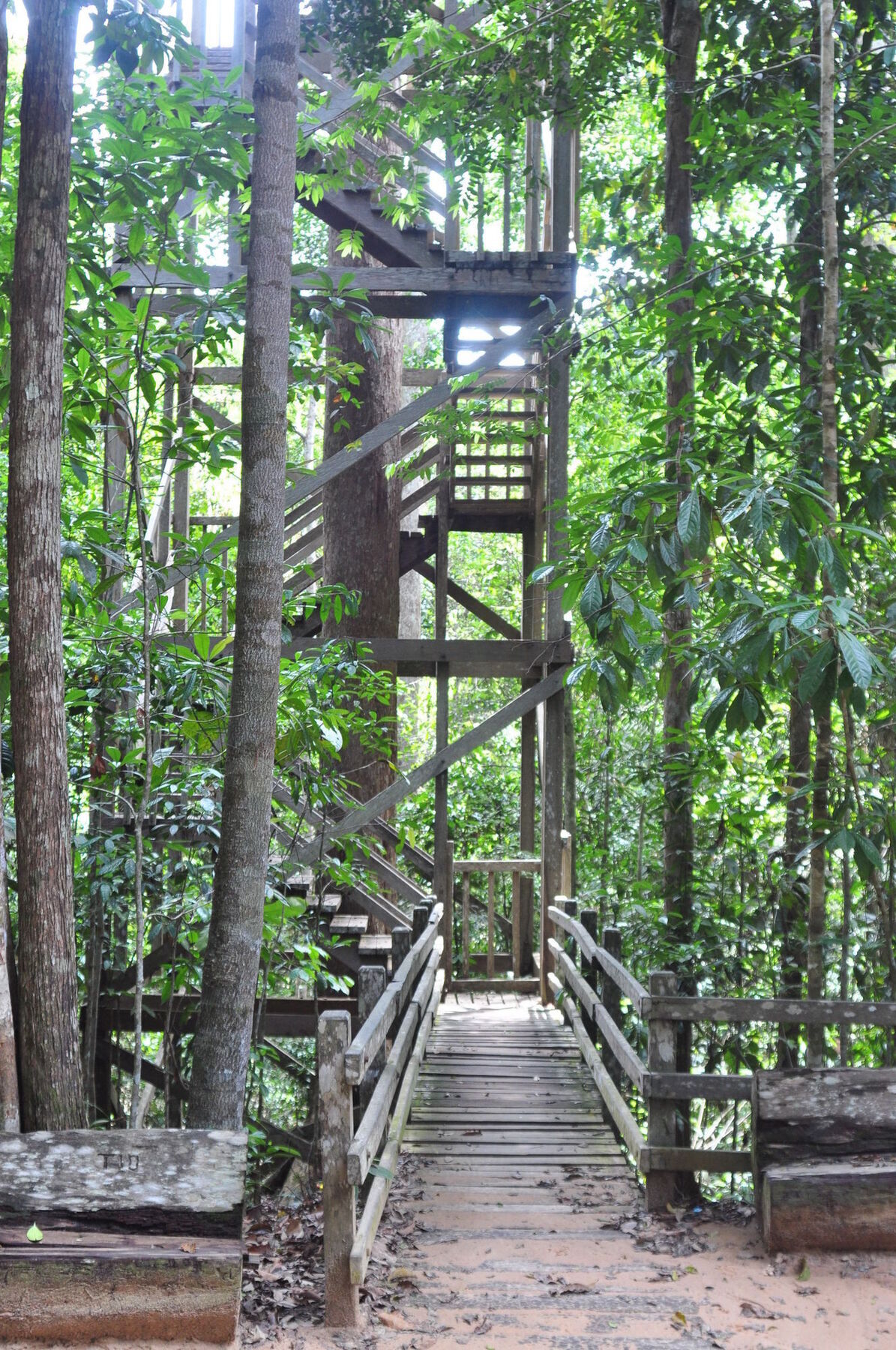 Samboja Lodge Баликпапан Экстерьер фото